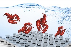 生蠔如何快速清洗？超聲波清洗機(jī)讓生蠔小龍蝦田螺大閘蟹更美味